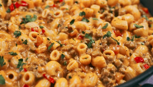 Creamy cheesy tomato pasta ready to serve