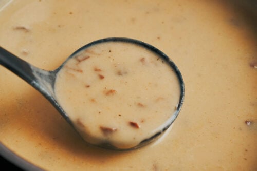 creamy mushroom potato soup after adding cream