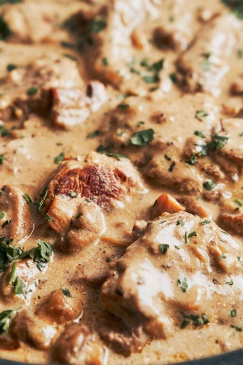 creamy mushroom cognac sauce with pork tenderloin medallions (close-up)