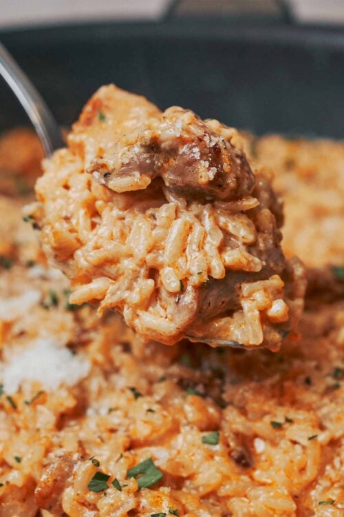 spoonful of creamy chicken and rice