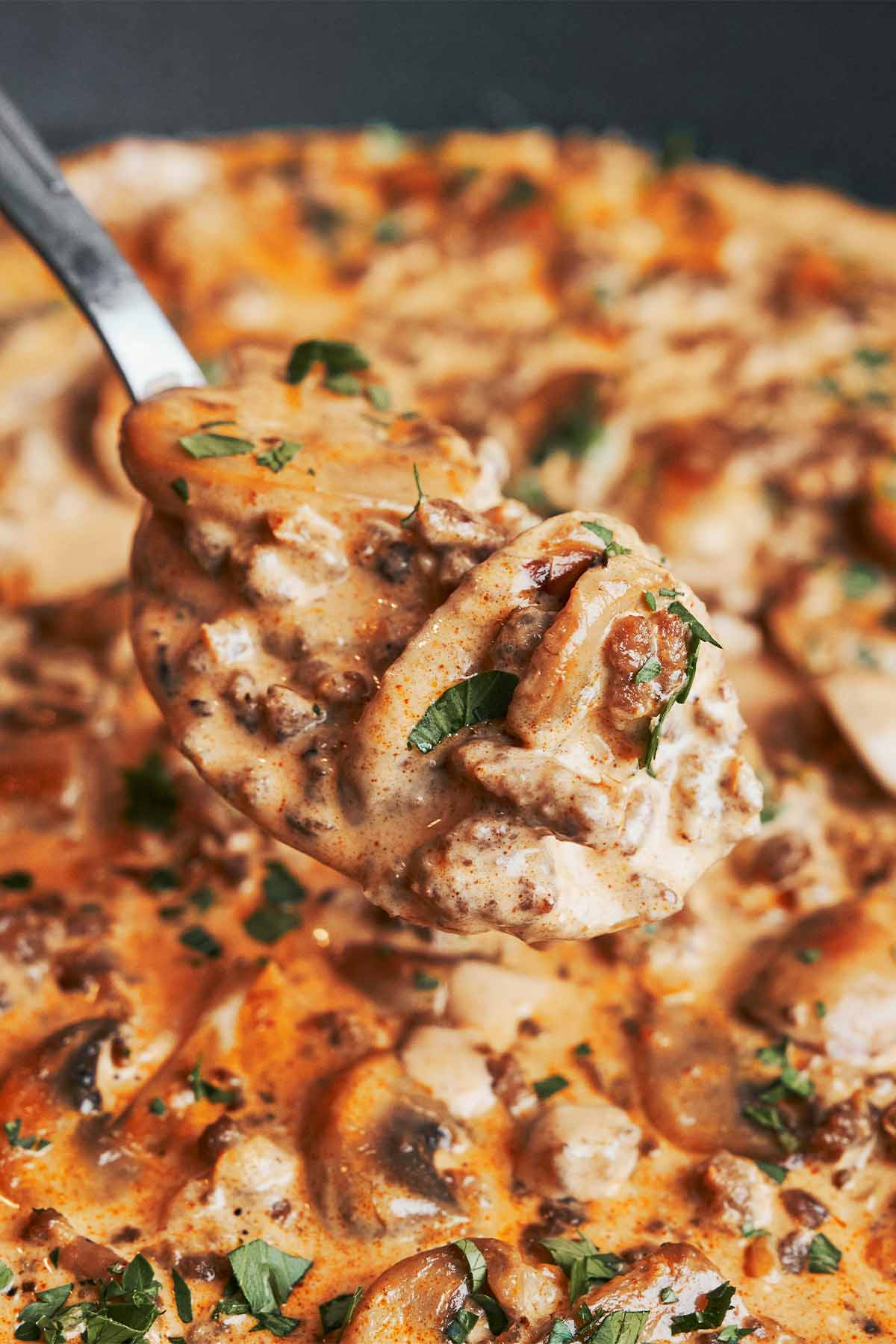spoonful of creamy ground beef stroganoff with mushrooms and sauce