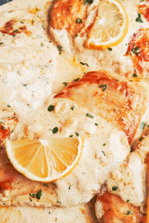 creamy lemon chicken in the skillet with fresh lemon slices