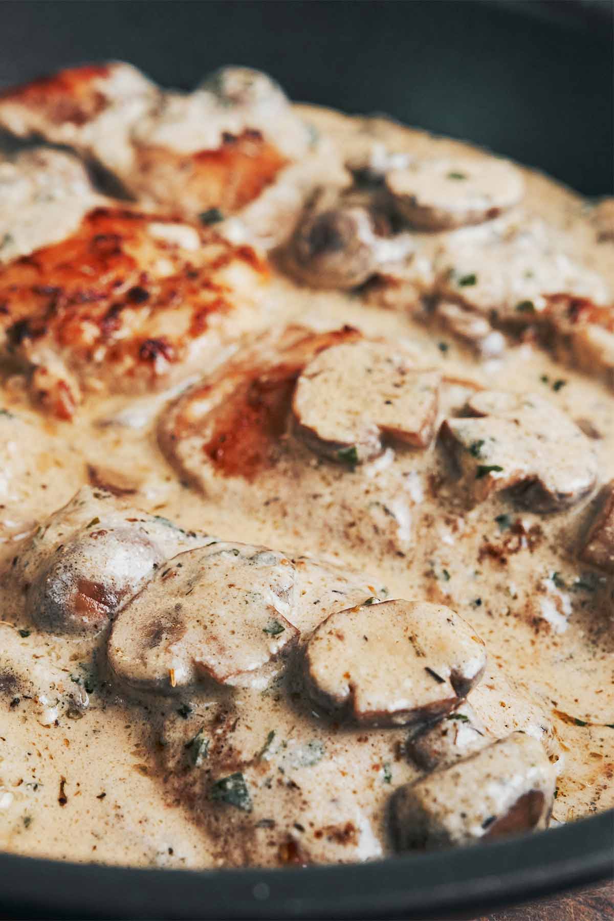 creamy mushroom sauce bubbling around golden seared chicken