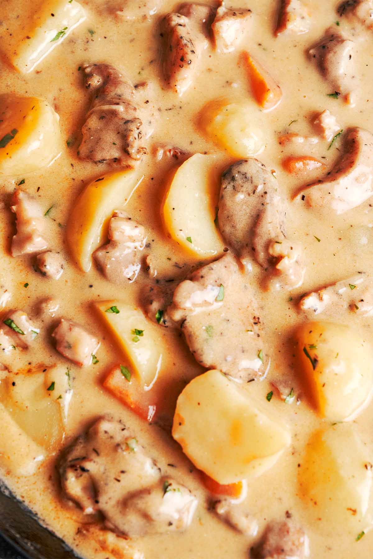 Close-up of creamy chicken cheddar potato chowder with tender chicken, potatoes, carrots, bacon, and parsley