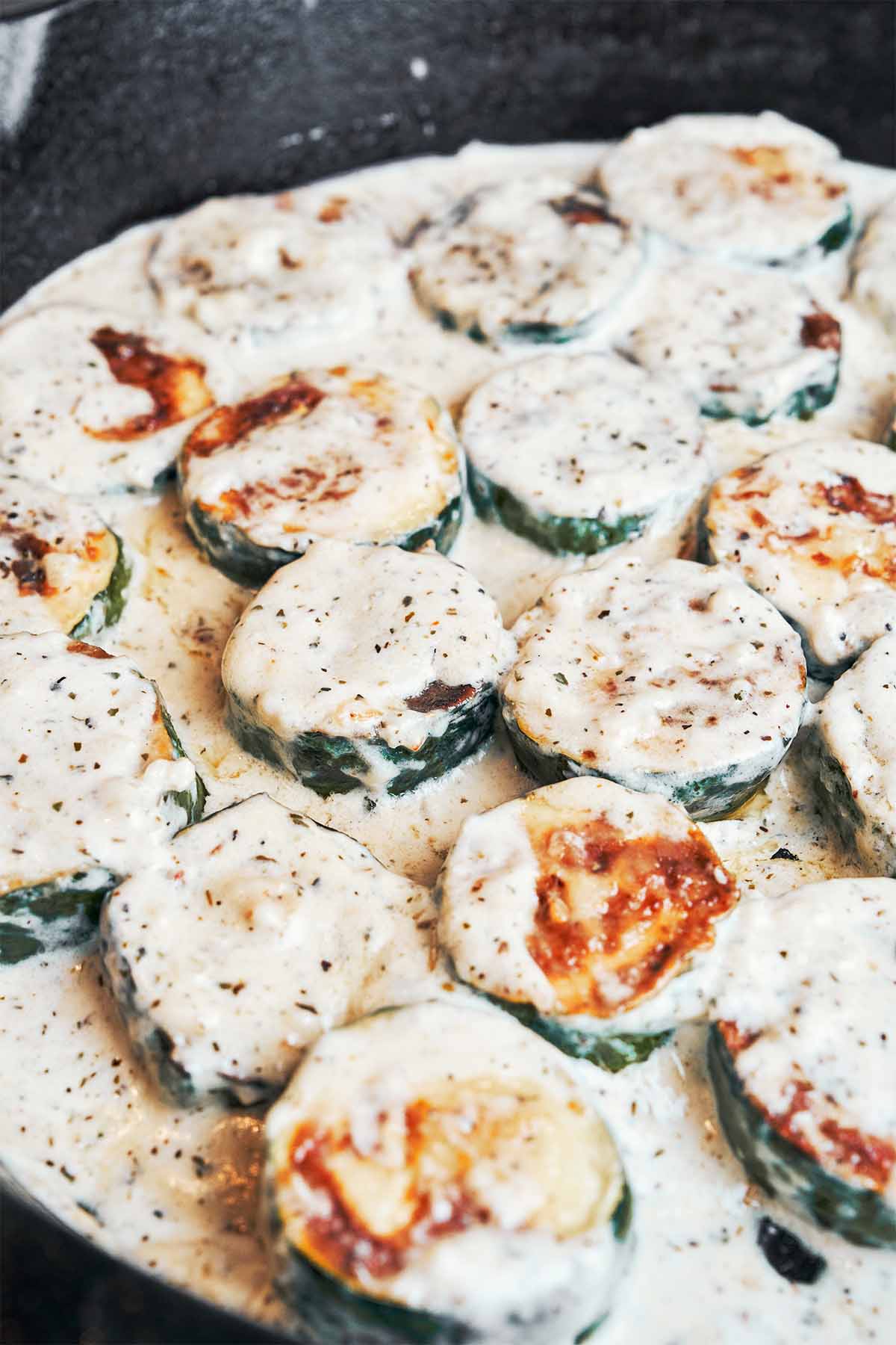 Golden zucchini rounds nestled in a creamy herb sauce, with those beautifully browned edges still peeking through.